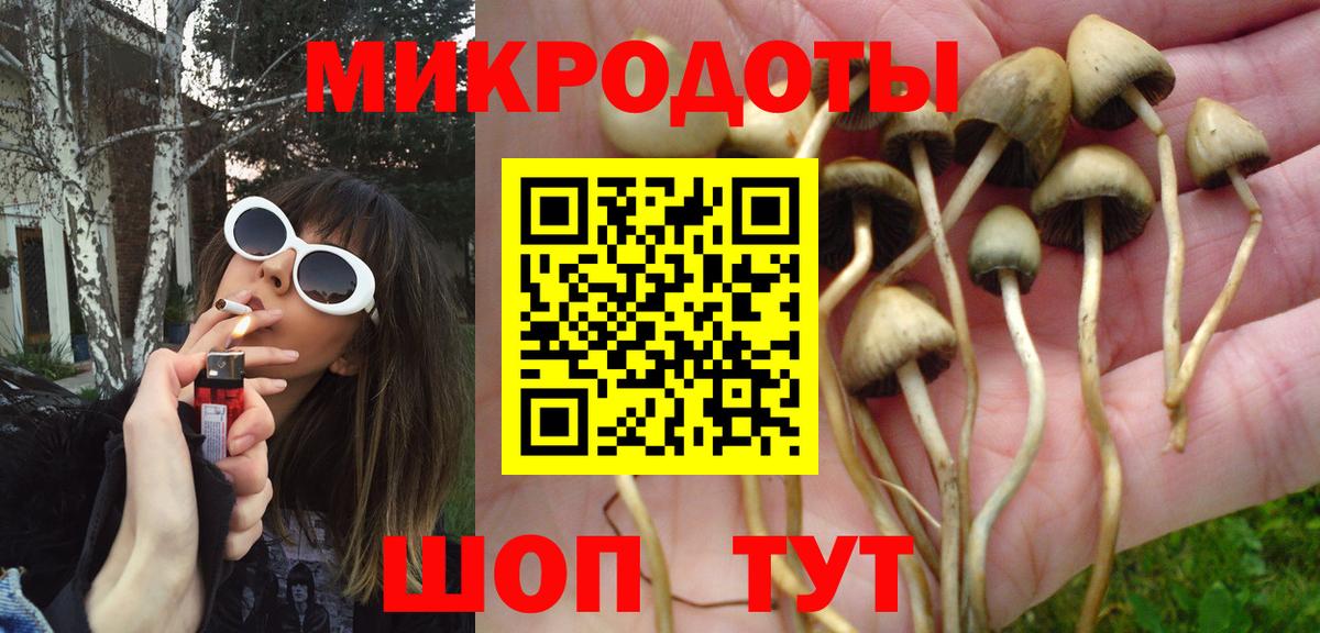 Унеча  Псилоцибиновые грибы Psilocybine cubensis  Вход с VPN  Псилоцибиновые грибы Cubensis 